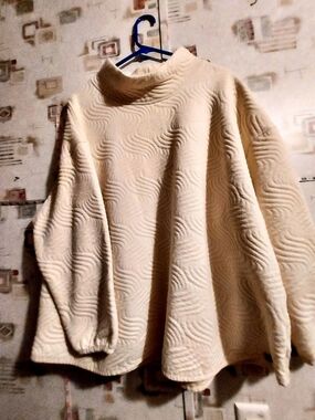 Ocean Coast Textured Sweater Size 3X in Cream
